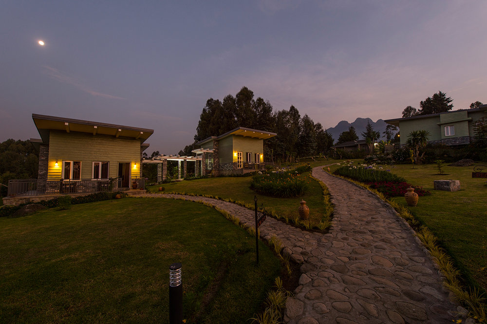 Amakoro Songa Lodge: Gästeunterkunft mit Vorgarten Abends, Bäume, Garten, Gästeunterkunft, Amakoro Songa Lodge, Gorilla Tracking, Volcanoes National Park, Afrikarma, Afrikarma Safaris, Afrikarma Safaris. Wildnis. Hautnah., afrikarma.de