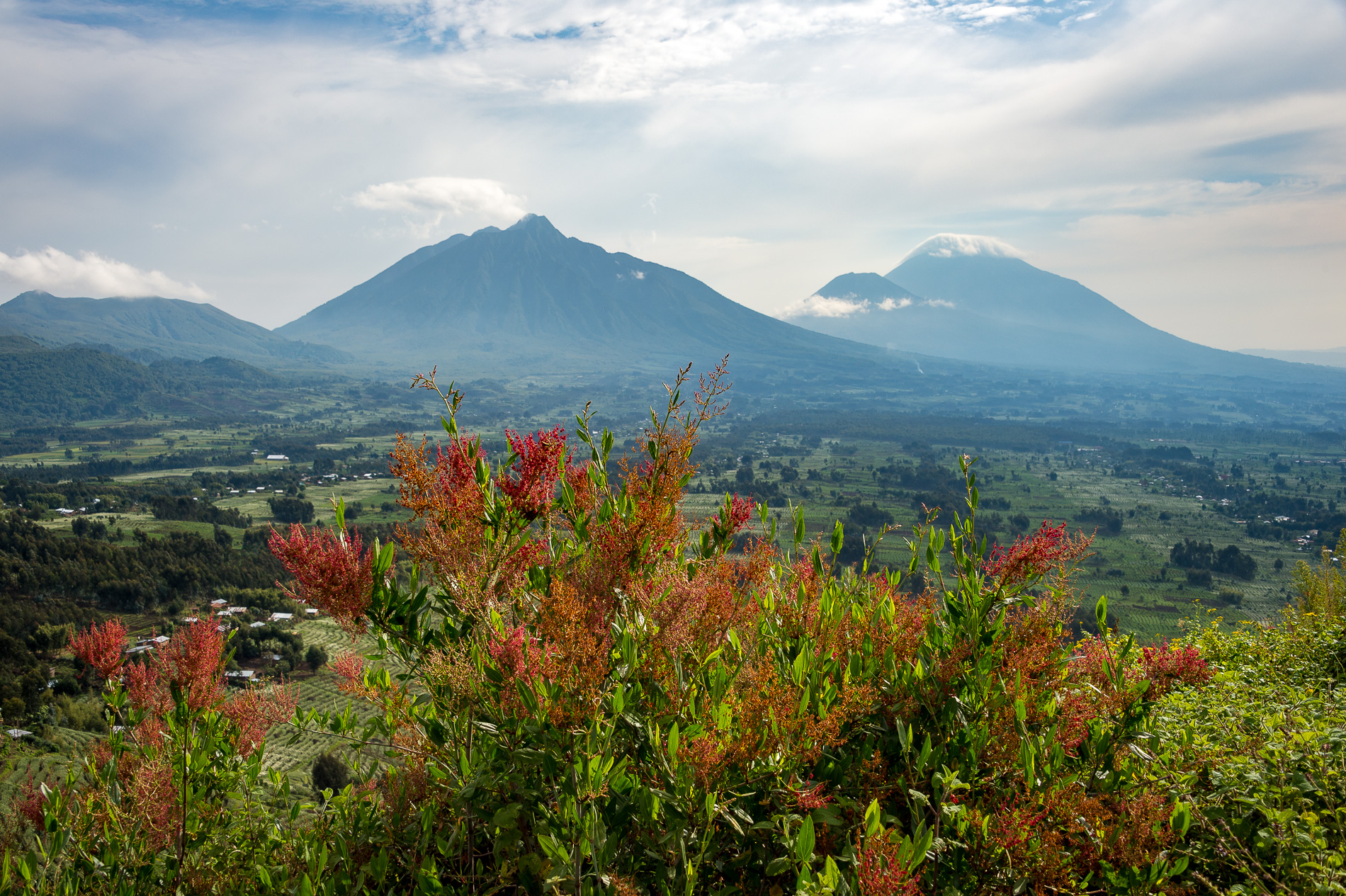 Bisate Lodge: Ausblick auf die Vulkane