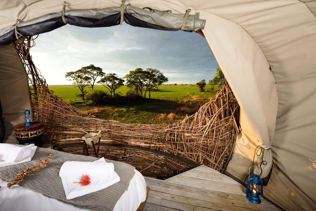 Chisa Busanga Camp: Blick aus einem Vogelnest