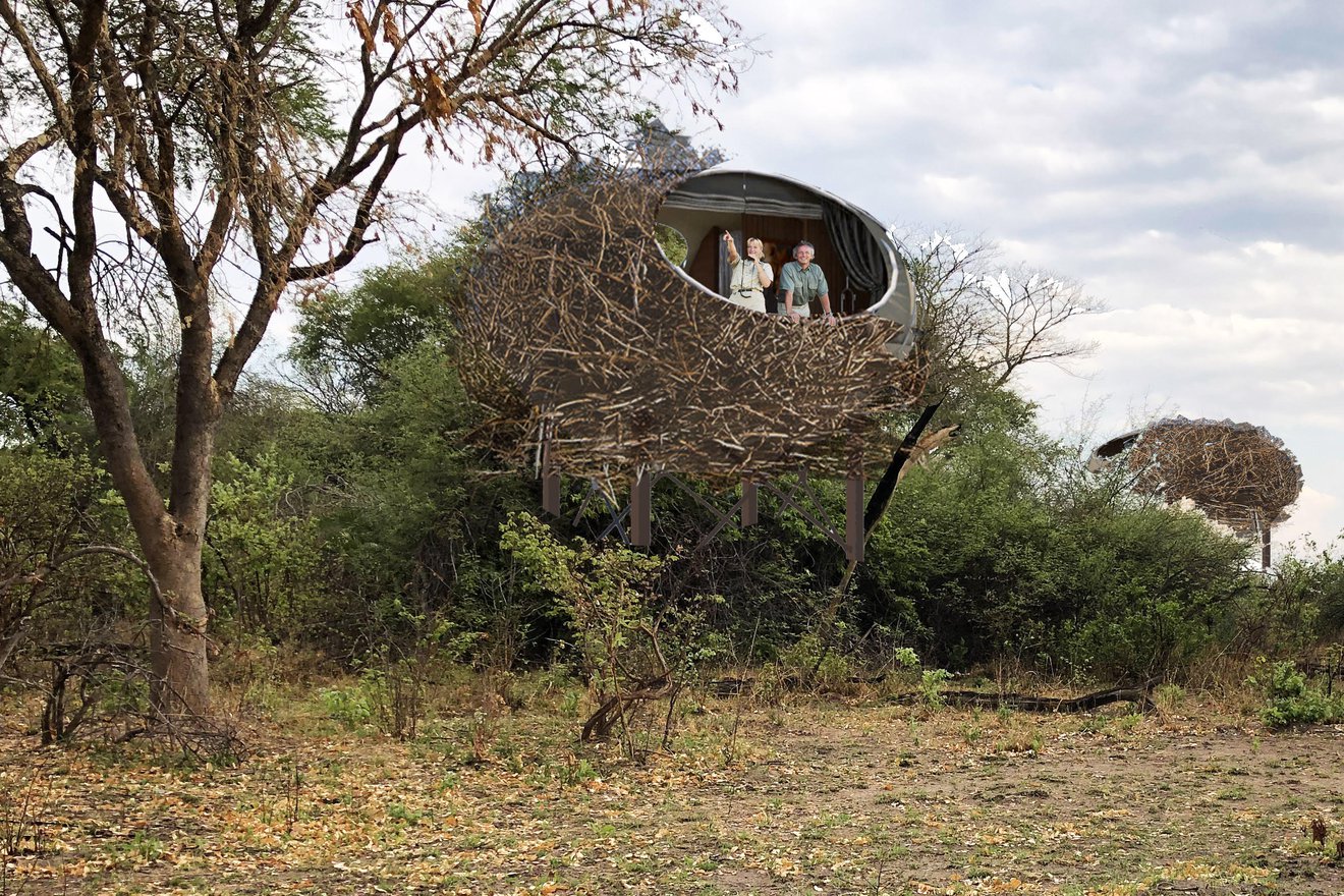 Chisa Busanga Camp: Vogelnester auf Holzplattformen