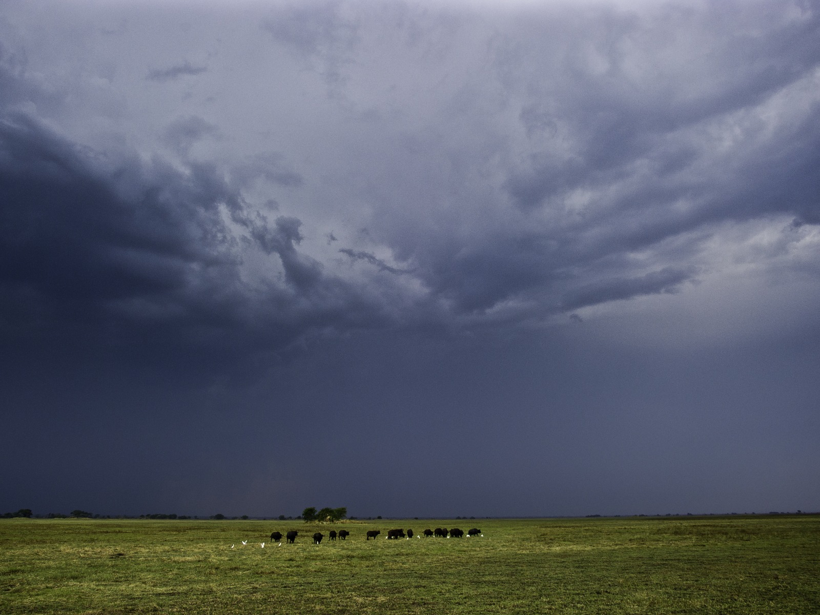 Busanga Bush Camp, Kafue, Kafue National Park, Kafue Nationalpark, Safari, Wilderness Safaris, Ebenen, Gewitter, Himmel, Sturm, Wetter