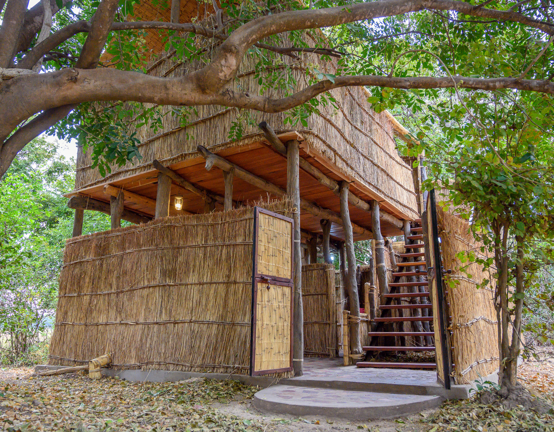 Chikoko Tree Camp: Gästebungalow Chikoko Tree Camp: Gästebungalow