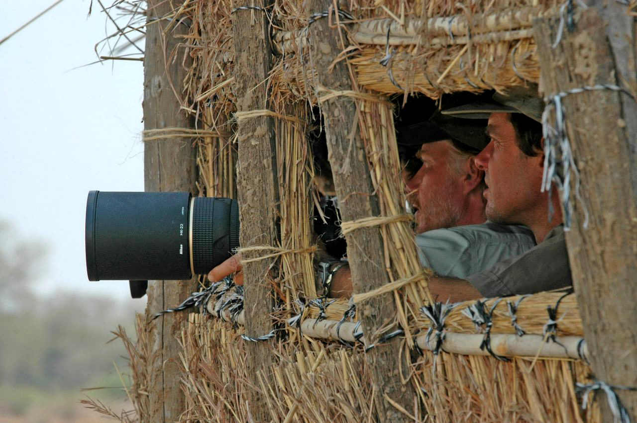 Kaingo Hippo Hide: Derek Shenton im Unterstand Kaingo Hippo Hide: Derek Shenton im Unterstand