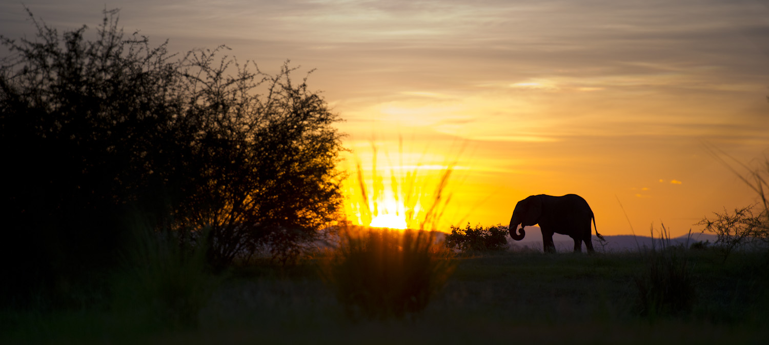 Fluss, Kanyemba, Kanyemba Lodge, Lodge, Luxury, Luxus, Sambesi, Sambia, Zambezi