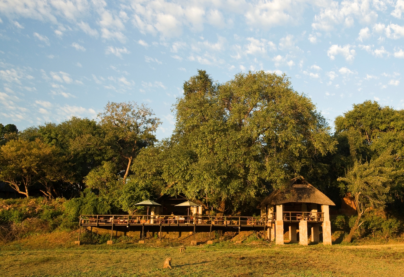 Abenteuer, Busch, Buschlandschaft, Elefant, Entspannung, Erholung, Familie, Game Drive, Kapani, Kapani Lodge, Luangwa, Luangwa River, Luxus, Nachhhaltigkeit, Natur, Nilpferd, Norman Carr, Norman Carr Safaris, Ostsambia, Safari, Sambia, South Luangwa National Park, Walking Safari, Wildnis, Zambia, Pionier, Ursprung, afrikarma, afrikarma.de