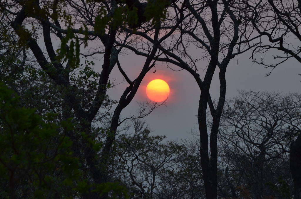 Angeln, Fishing, Game Drive, Jacques Collins, Kafue National Park, Kafue River, Leopard Lodge, Lubungu, Lunga-Lushwishi Game Management Area, Walking Safari, Landschaft, Sonnenuntergang, Afrikarma, Afrikarma Safaris, Afrikarma Safaris - Wildnis. Hautnah., Afrikarma.de