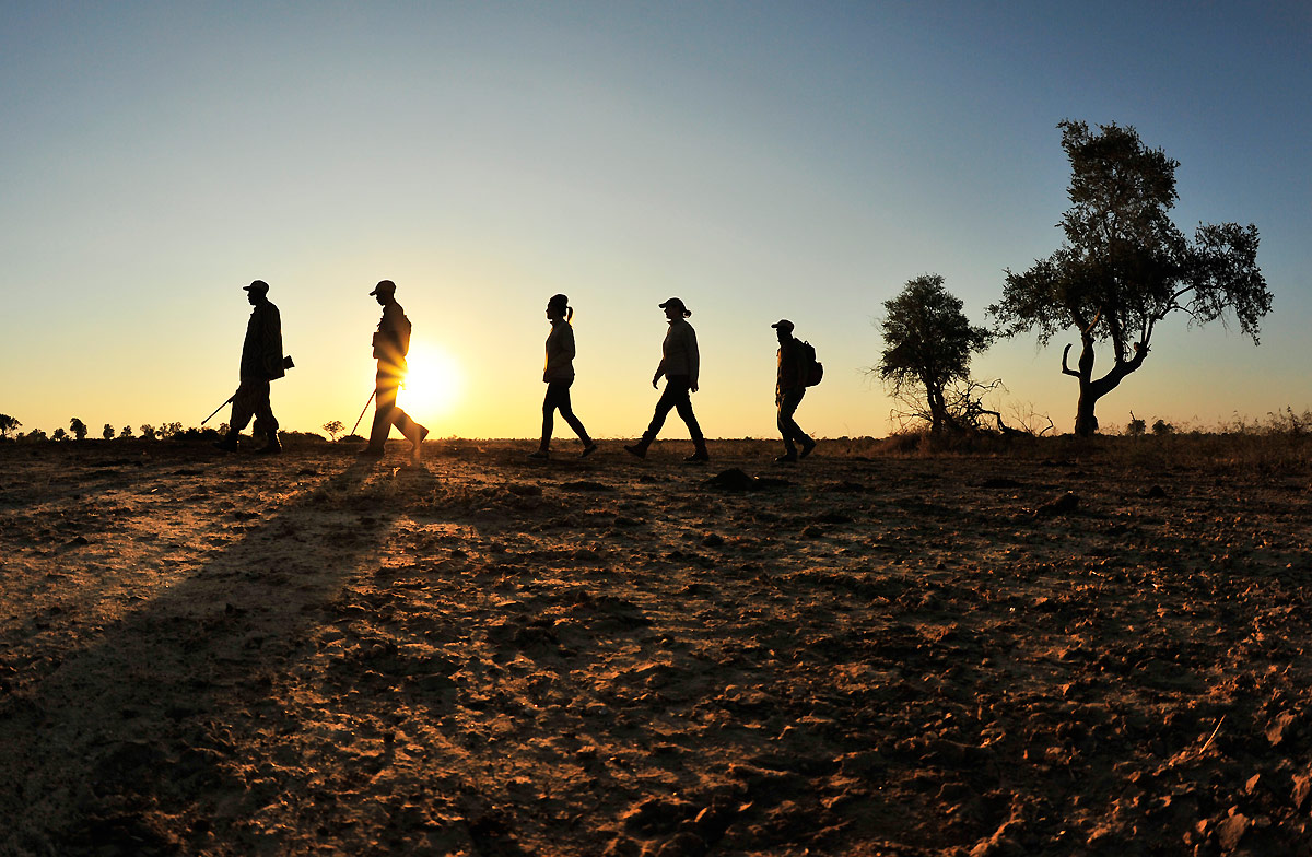 Lion Camp: Wanderung durch die Landschaft Lion Camp: Wanderung durch die Landschaft