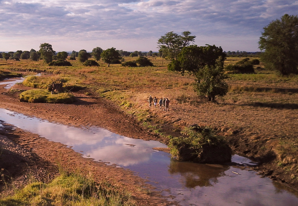 Luambe Horizons Camp: Eine Wandersafari durch den Nationalpark