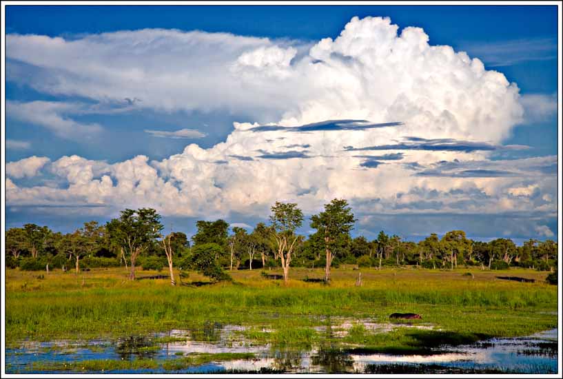 Nsefu, River Journeys, Emerald Season,, Emerald Season, Feuchte Jahreszeit, Flut, Green Rivers, Green Season, Hochwasser, Kanäle, Lagunen, Regenzeit, River Journeys, Robin Pope Safaris, Teiche, Überschwemmung, Wetter, Wolken
