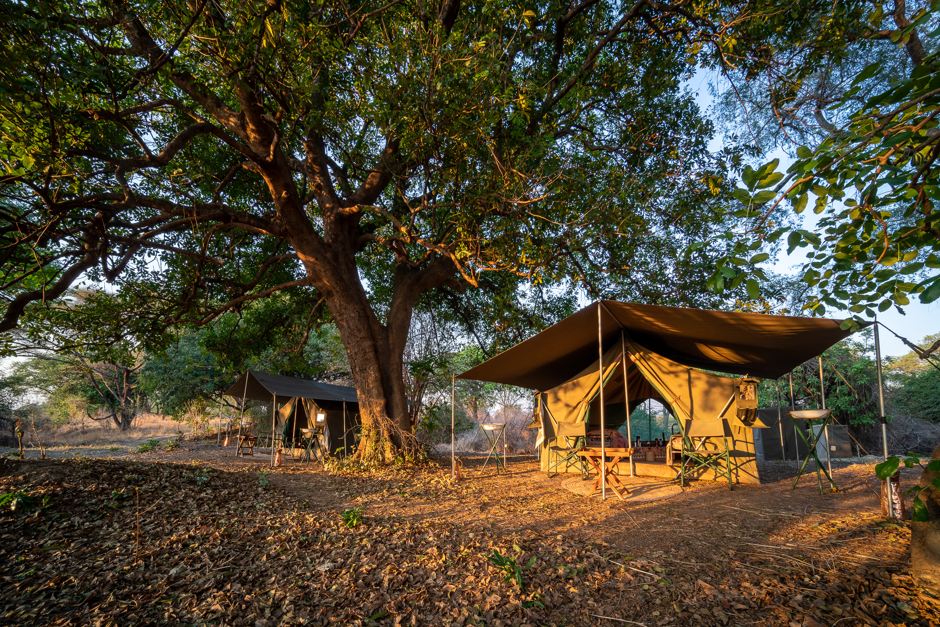 Mobile Walking Safari: Blick auf ein Gästezelt