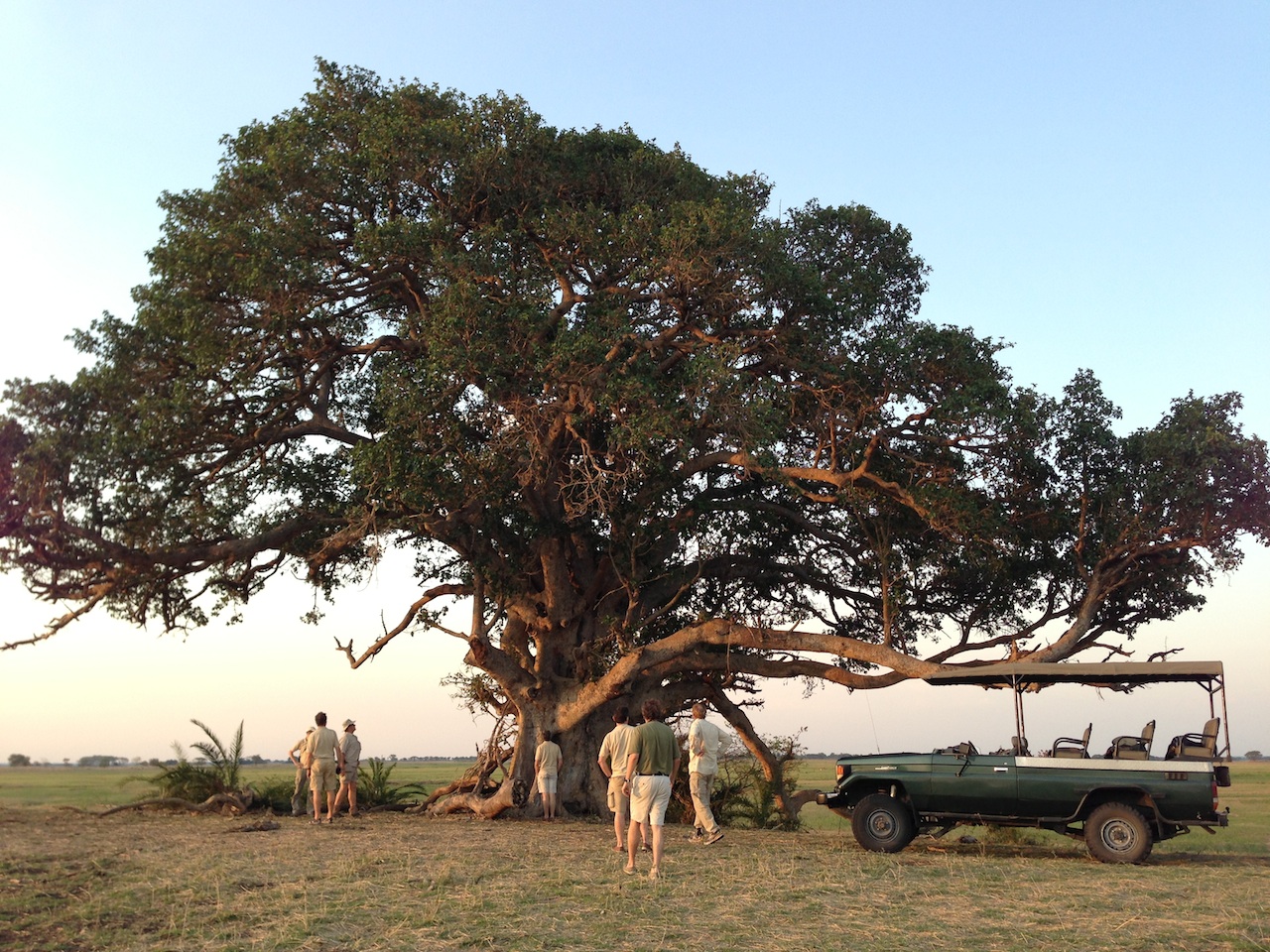 africa, afrika, afrikanische Wildhunde, afrikarma, Angeln, antilopen, beratung, bilder, bindenfischeule, birding, bootsfahrten, bootstouren, buchen, buchung, büffel, Busanga Plains Camp, east africa, Edjan van der Heide, elefant, flußpferd, game drives, geführte buschwanderungen, guided walks, information, informieren, Kafue, Kafue National Park, kafue river, Kafue-Nationalpark, krokodil, leopard, löwe, lusaka, Mukambi, Mukambi Busanga Plains Camp, mukambi safari lodge, Mukambi Safaris, nachhaltigkeit, nilpferd, ostafrika, pelfischeule, pirschfahrten, reise, reisen, reiseveranstalter, Robyn-Anne van der Heide, safari, sambia, Schreiseeadler, urlaub, van der heide, victoria falls, victoriafälle, vögel, vogelbeobachtung, vollpension, wildhunde, www.afrikarma.de, zambia, aktivitäten, baum, fahrzeug, game drive, landschaft, pause, pirschfahrt, safarifahrzeug