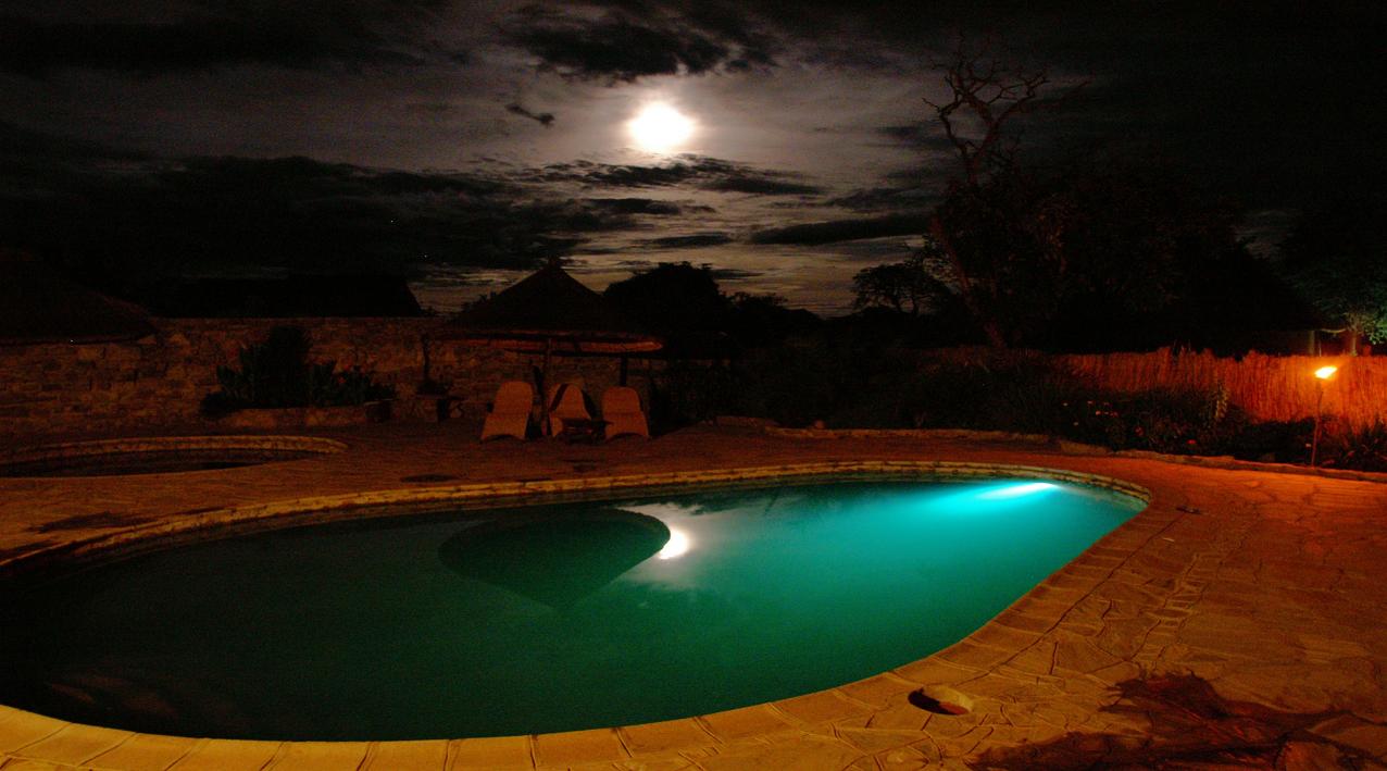 Kafue National Park, africa, afrika, afrikanische Wildhunde, afrikarma, Angeln, antilopen, beratung, bilder, bindenfischeule, birding, bootsfahrten, bootstouren, buchen, buchung, büffel, Busanga Plains Camp, east africa, elefant, flußpferd, game drives, geführte buschwanderungen, guided walks, information, informieren, Kafue, kafue river, Kafue-Nationalpark, krokodil, leopard, löwe, lusaka, Mukambi, Mukambi Busanga Plains Camp, mukambi safari lodge, Mukambi Safaris, nachhaltigkeit, nilpferd, ostafrika, pelfischeule, pirschfahrten, reise, reisen, reiseveranstalter, safari, sambia, Schreiseeadler, urlaub, van der heide, victoria falls, victoriafälle, vögel, vogelbeobachtung, vollpension, wildhunde, www.afrikarma.de, zambia, Abendessen, Decl, abend, abendstimmung, central facilities, gemeinschaftsbereich, hauptbereich, himmel, main area, mond, mondschein, nacht, nachthimmel, pool, romantik, stimmung, swimming pool, swimmingpool, zentrale einrichtungen, Afrikarma Safaris, Afrikarma.de, Edjan van der Heide, Robyn-Anne and Edjan van der Heide, Robyn-Anne van der Heide