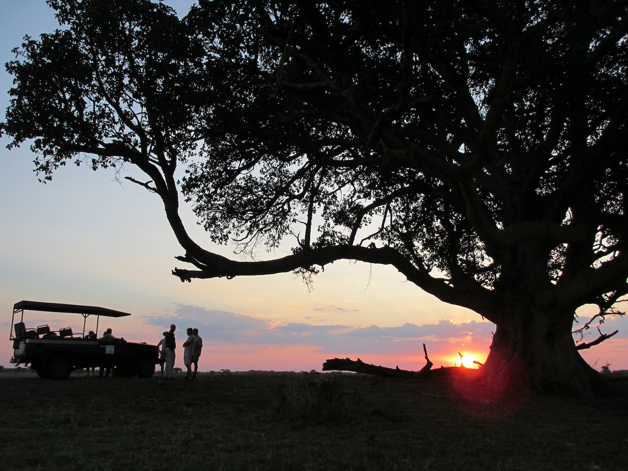 africa, afrika, afrikanische Wildhunde, afrikarma, Angeln, antilopen, beratung, bilder, bindenfischeule, birding, bootsfahrten, bootstouren, buchen, buchung, büffel, Busanga Plains Camp, east africa, Edjan van der Heide, elefant, flußpferd, game drives, geführte buschwanderungen, guided walks, information, informieren, Kafue, Kafue National Park, kafue river, Kafue-Nationalpark, krokodil, leopard, löwe, lusaka, Mukambi, Mukambi Busanga Plains Camp, mukambi safari lodge, Mukambi Safaris, nachhaltigkeit, nilpferd, ostafrika, pelfischeule, pirschfahrten, reise, reisen, reiseveranstalter, Robyn-Anne van der Heide, safari, sambia, Schreiseeadler, urlaub, van der heide, victoria falls, victoriafälle, vögel, vogelbeobachtung, vollpension, wildhunde, www.afrikarma.de, zambia, abend, abendstimmung, aktivitäten, drink, fahrzeug, landschaft, pause, pirschfahrt, safarifahrzeug, sonnenuntergang, sundowner