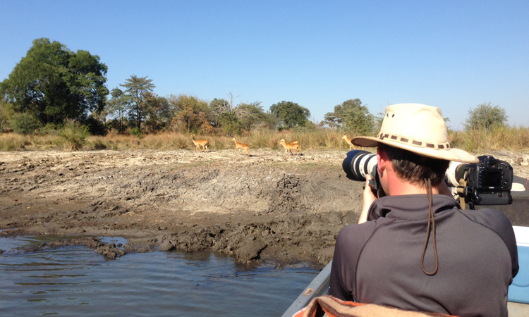 Musekese Camp: Foto-Safari Musekese Camp, Jeffery & McKeith Safaris, Phil Jeffery, Tyrone McKeith, Antilopen, Beobachtungsunterstand, Bird Watching, Busanga Plains, Chibemba Saltpan, Kafue National Park, Kafue River, Lufupa Airstrip, Photographer, Vogelbeobachtung, Afrikarma, Afrikarma Safaris, Afrikarma.de