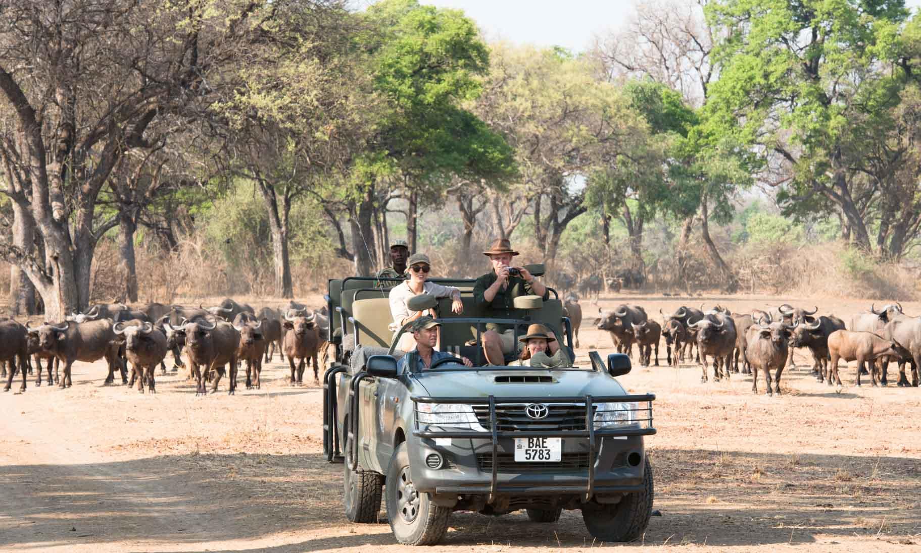 Mwamba Bush Camp: Game Drive Mwamba Bush Camp: Game Drive