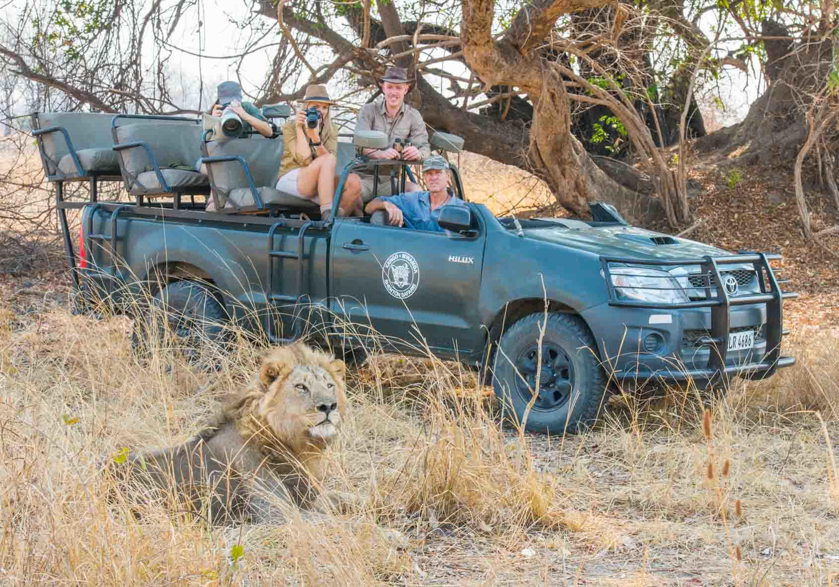 Mwamba Bush Camp: Löwe