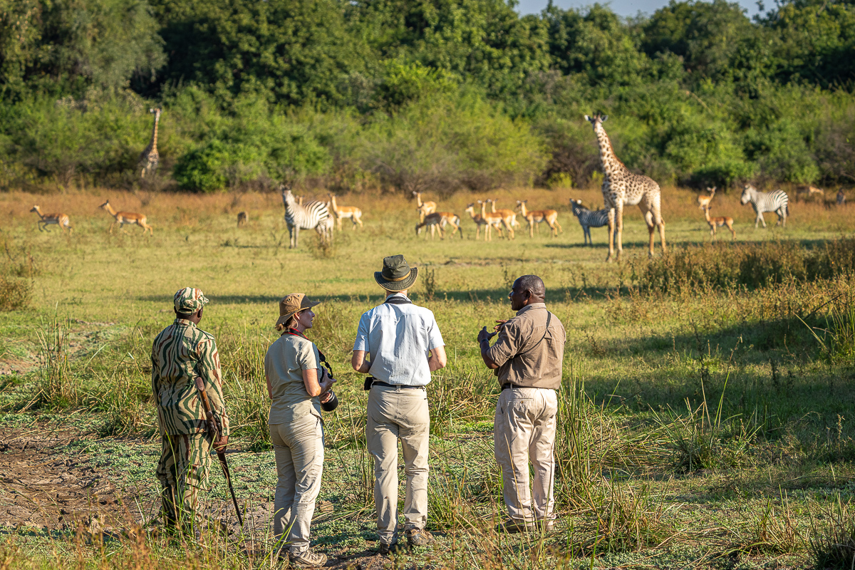 Nkwali Camp: Walking Safari