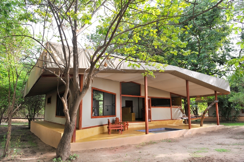 Potato Bush Camp: Gästezelt Potato Bush Camp: Gästezelt