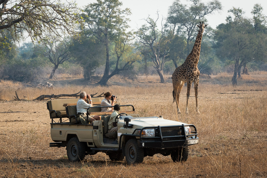 Flusspferd, Kinderfreundlich, Luangwa, Luangwa River, Luxus, Nachhaltigkeit, Nilpferd, Nsefu Sector, Nsefu Sektor, Privathaus, Privatsphäre, Robin, Robin Pope, Robin Pope Safaris, Sambia, Service, South Luangwa, South Luangwa Nationalpark, South Luangwa Valley, Zambia, Game Drives, Giraffe, Giraffen, Natur, Pirschfahrten, Wildnis, afrikarma, afrikarma.de
