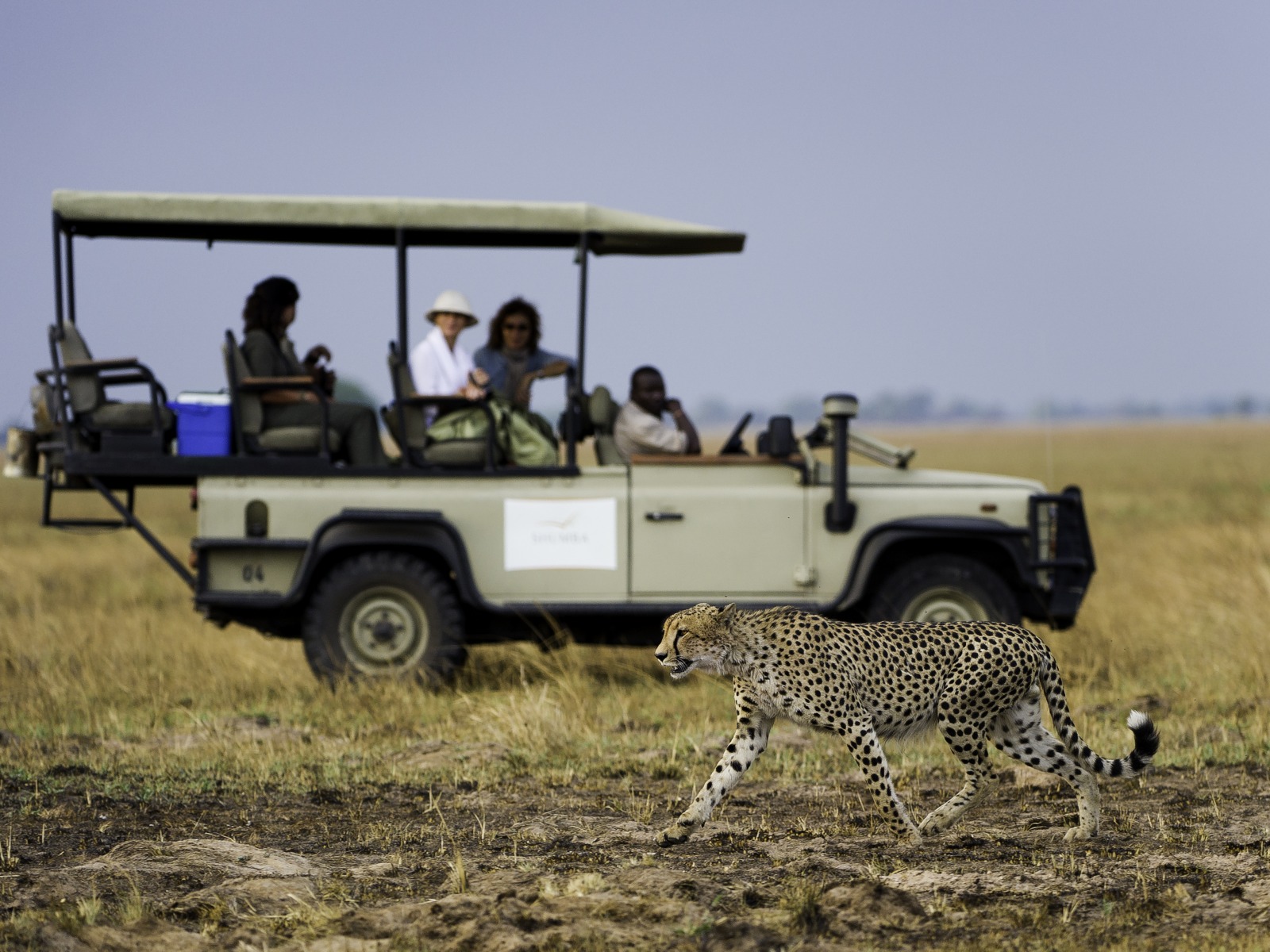 Busanga Plains, Kafue National Park, Schwemmebenen, Busanga-Ebenen, Fauna, Flood Plains, Heißluftballon, Kafue Nationalpark, Safari, Shumba Camp, Wilderness Safaris, Gepard, Glück, Großkatze, Katze, Pirschfahrt, Raubtier, selten, Abend, Abendstimmung, Atmosphäre, Lichter, Lodge, Romantik, Stimmung