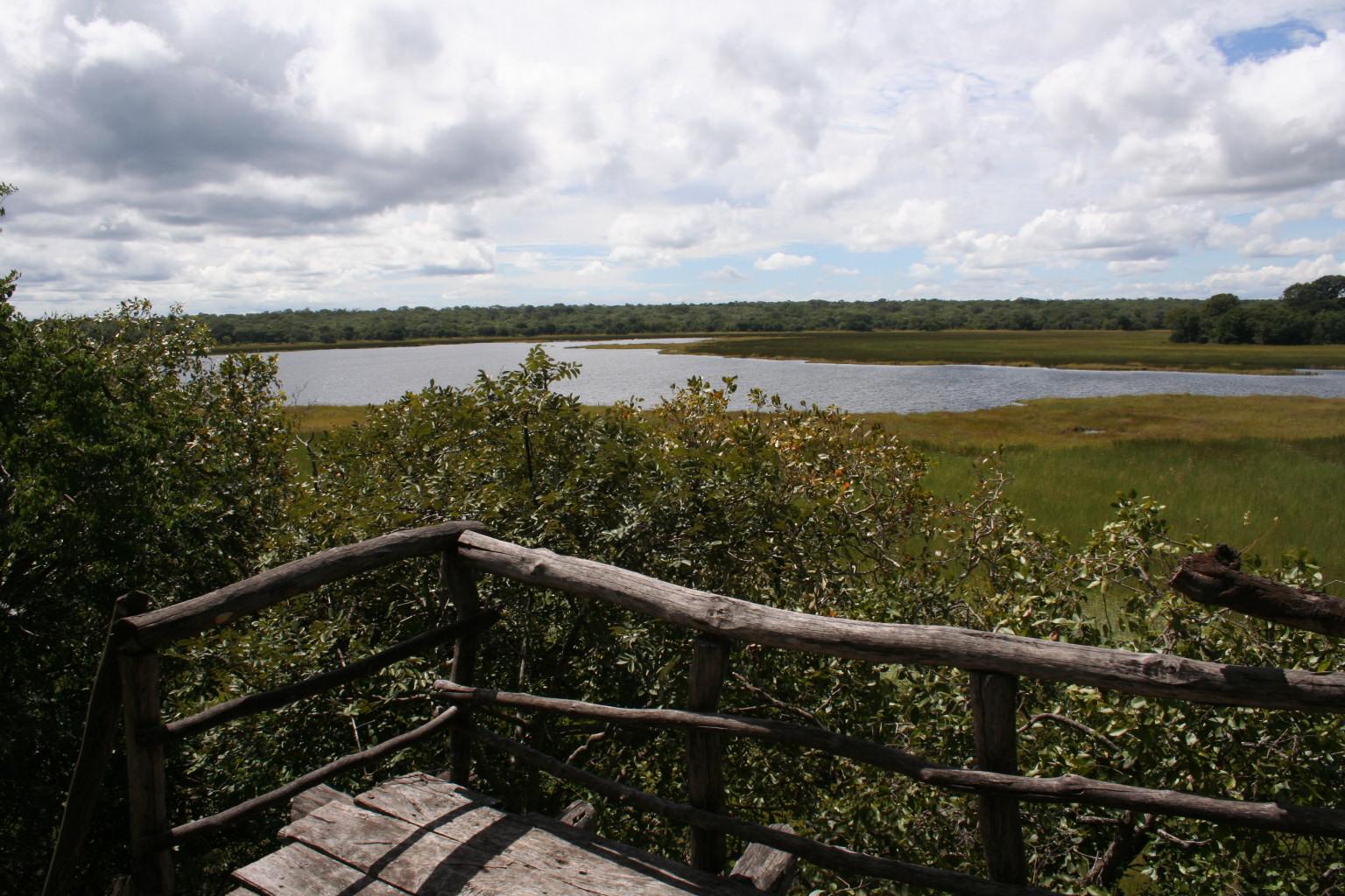 Wasa Lodge: Aussichtsplattform Kasanka National Park, Kasanka Trust, Palmenflughund, Straw colored Fruit Bat, Wasa Lodge, Gästechalet, Hauptgebäude, Lodge, Rondavel, Beobachtungsplattform, Hochsitz, Afrikarma, Afrikarma Safaris, Afrikarma Safaris - Wildnis. Hautnah., Afrikarma.de, Lavushi Manda