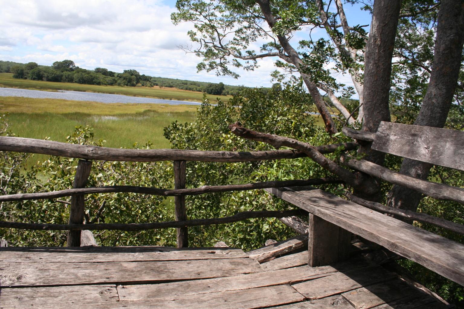 Wasa Lodge: Aussichtsplattform mit Bank Kasanka National Park, Kasanka Trust, Palmenflughund, Straw colored Fruit Bat, Wasa Lodge, Gästechalet, Hauptgebäude, Lodge, Rondavel, Bank, Beobachtungsplattform, Hochsitz, Afrikarma, Afrikarma Safaris, Afrikarma Safaris - Wildnis. Hautnah., Afrikarma.de, Lavushi Manda
