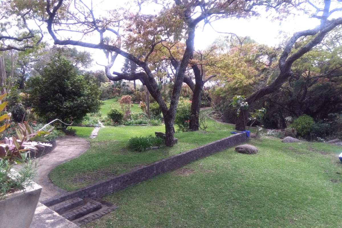 Clever's Lake View Resort, Great Zimbabwe, Kyle National Park, Lake Mutirikwe, Bäume, Garten, Rasen