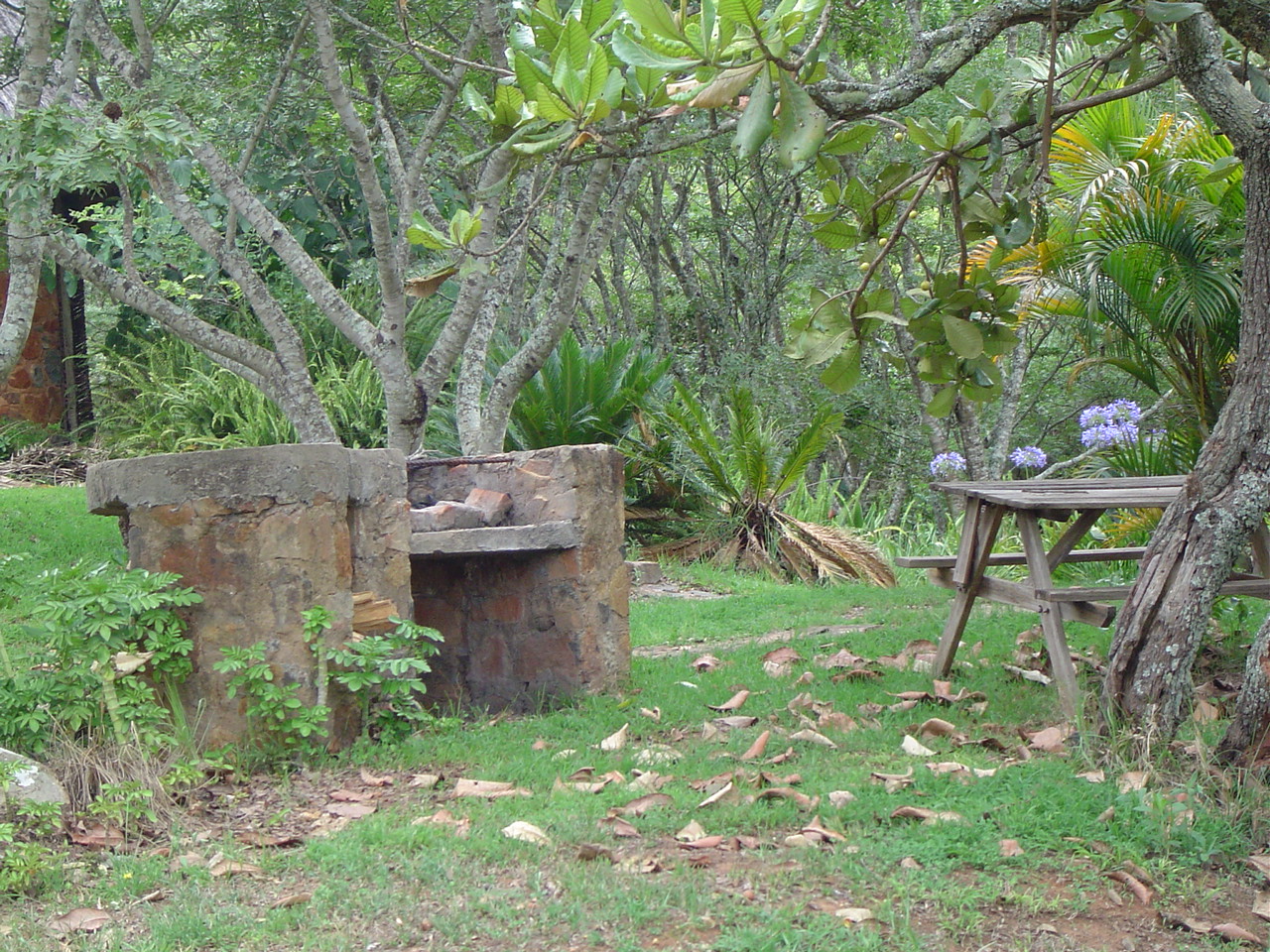 Frog and Fern Cottages: Grillplatz Chimanimani National Park, Eastern Highlands, Frog and Fern Cottages, Jane High, Garten, Grillplatz, Afrikarma, Afrikarma Safaris, Afrikarma Safaris. Wildnis. Hautnah., Afrikarma.de