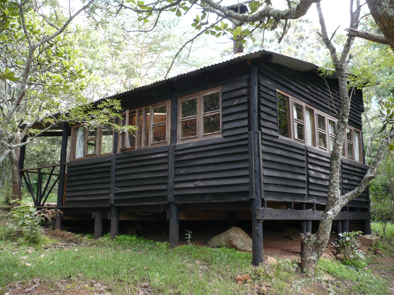 Frog and Fern Cottages: Mzanje Cabin - Gesamtansicht Chimanimani National Park, Eastern Highlands, Frog and Fern Cottages, Jane High, Mzanje Cabin, Gesamtansicht, Afrikarma, Afrikarma Safaris, Afrikarma Safaris. Wildnis. Hautnah., Afrikarma.de