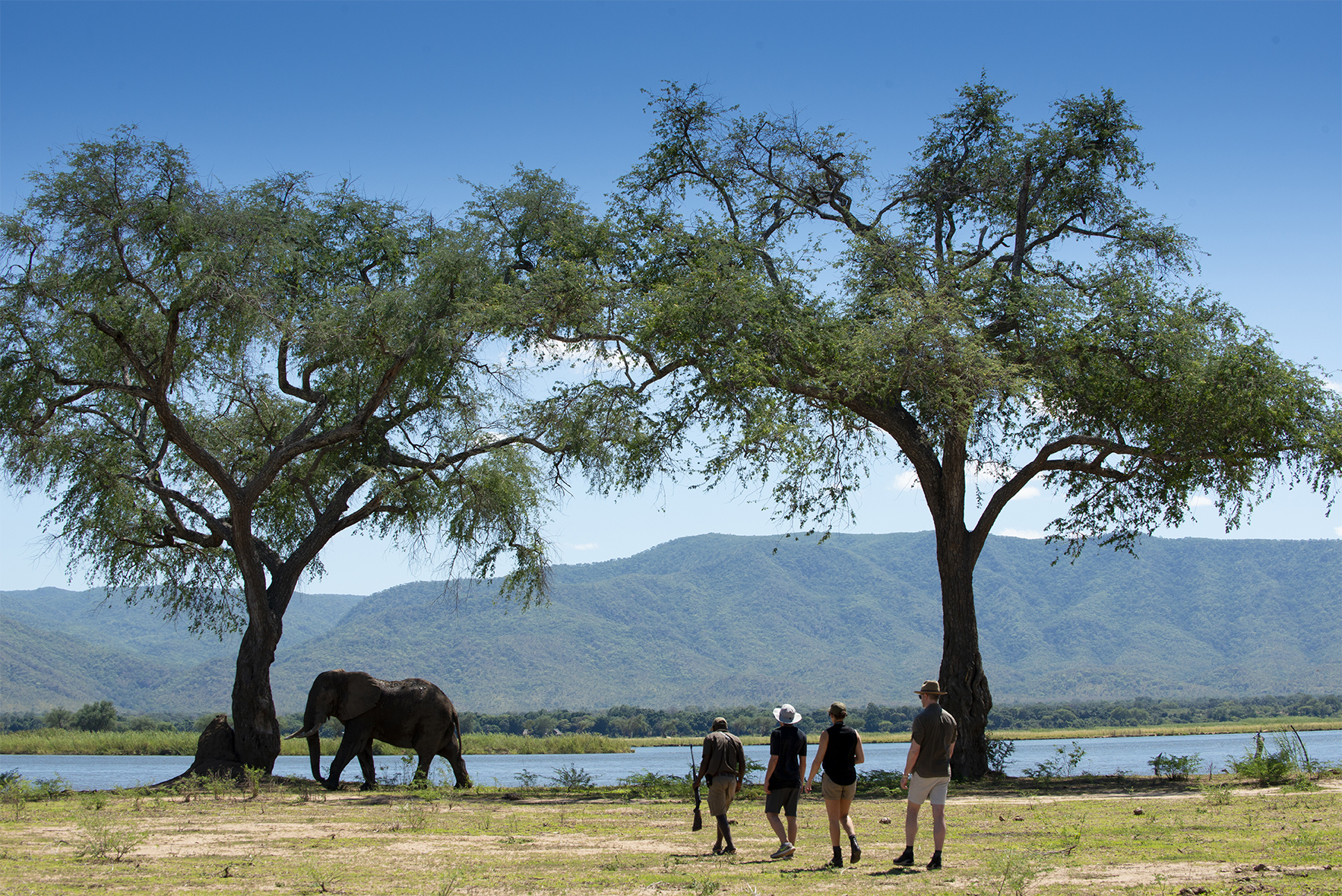 Afrikarma, Afrikarma Safaris, Afrikarma Safaris - Wildnis. Hautnah., Afrikarma.de, Nyamatusi Camp, Bäume, Berge, blauer Himmel, Büsche, Elefant, Fluss, Gäste, Gewehr, Gras, Ranger