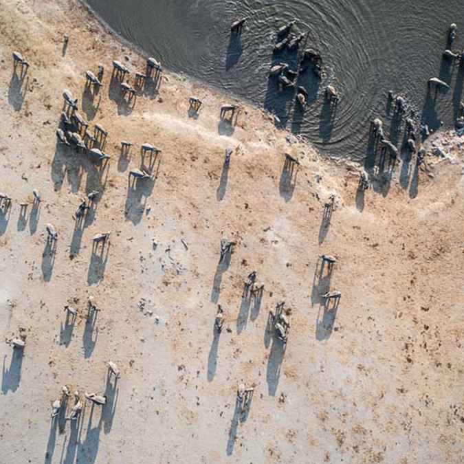 Machaba Safaris, Robins Camp, Aktivitäten, Game Drive, Hwange National Park, Safari, Tiere, Elefant, Luftbild, Afrikarma, Afrikarma Safaris., Afrikarma Safaris. Wildnis. Hautnah., Afrikarma.de