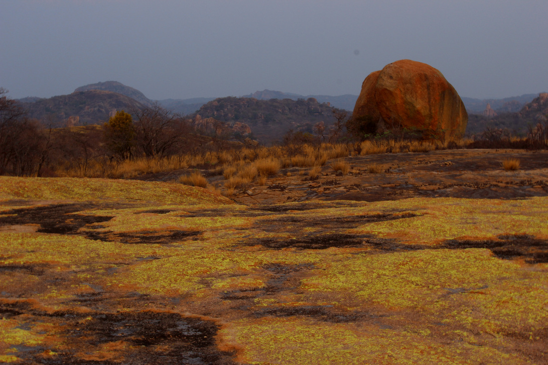Big Cave Camp, Big Cave Lodge, Big Cave Wilderness, Bulawayo, Caron und David Waddy, Caron Waddy, David Waddy, Game Drive, Granit, Granitfelsen, Matobo, Matobo Gebirge, Matobo National Park, Nashorn, Simbabwe, UNESCO, Waddy, Whovi Game Park, Zimbabwe, Natur, Umwelt, afrikarma, afrikarma.de