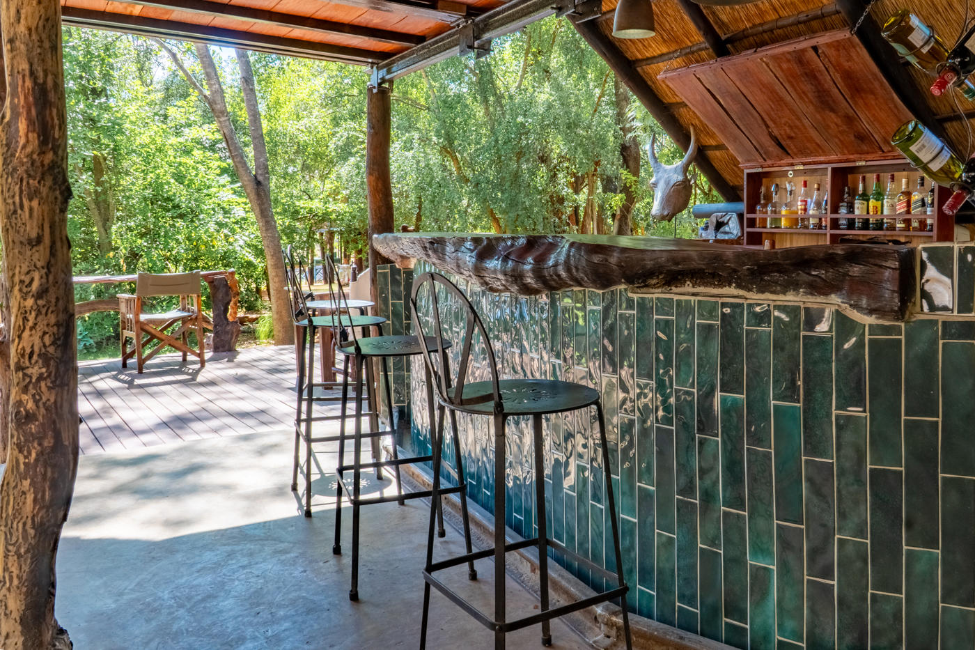 Ivory Lodge: An der Bar