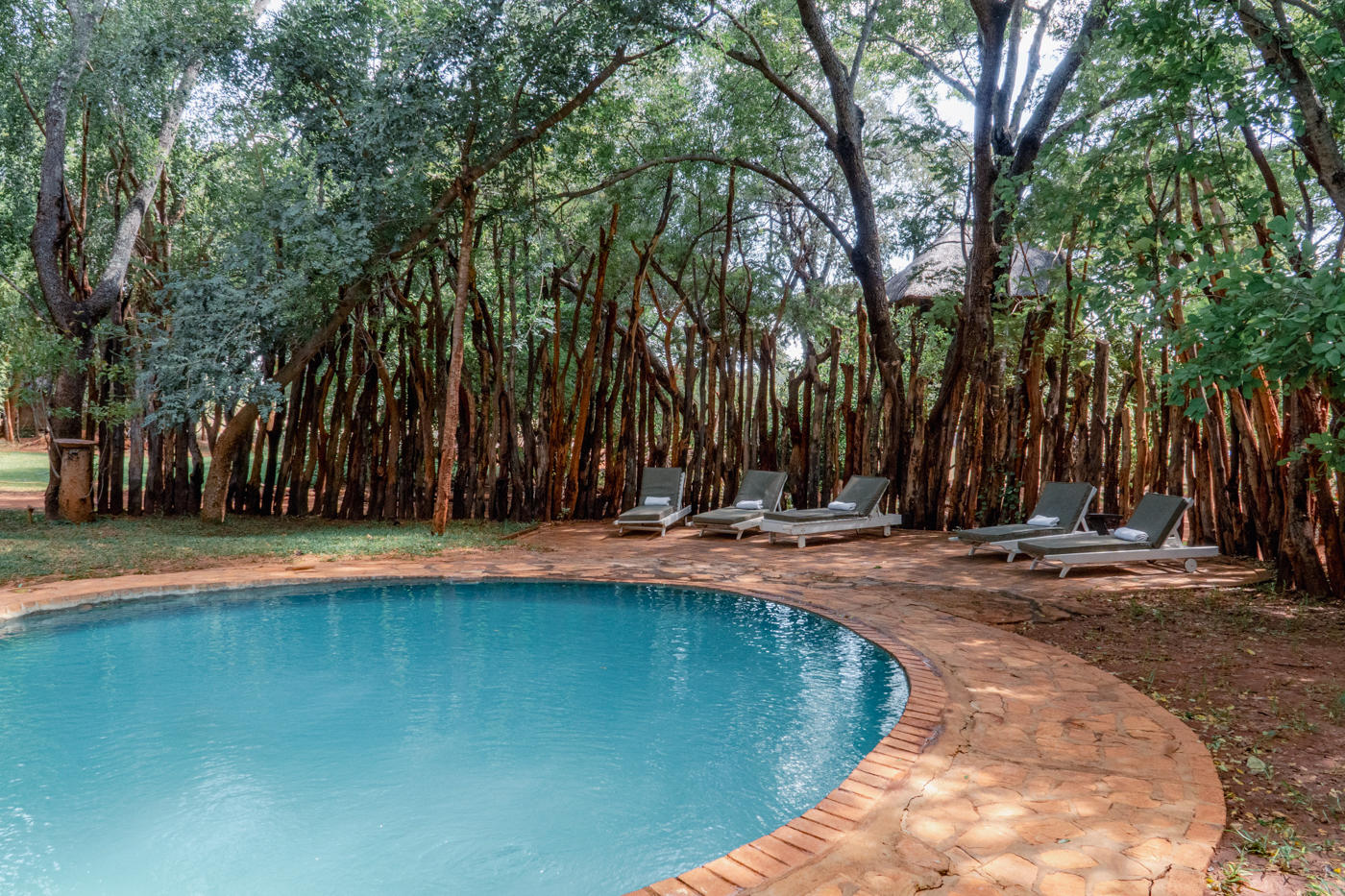 Ivory Lodge: Am Pool