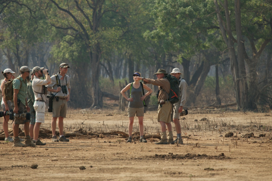 John's Camp: Gruppe auf Walking Safari