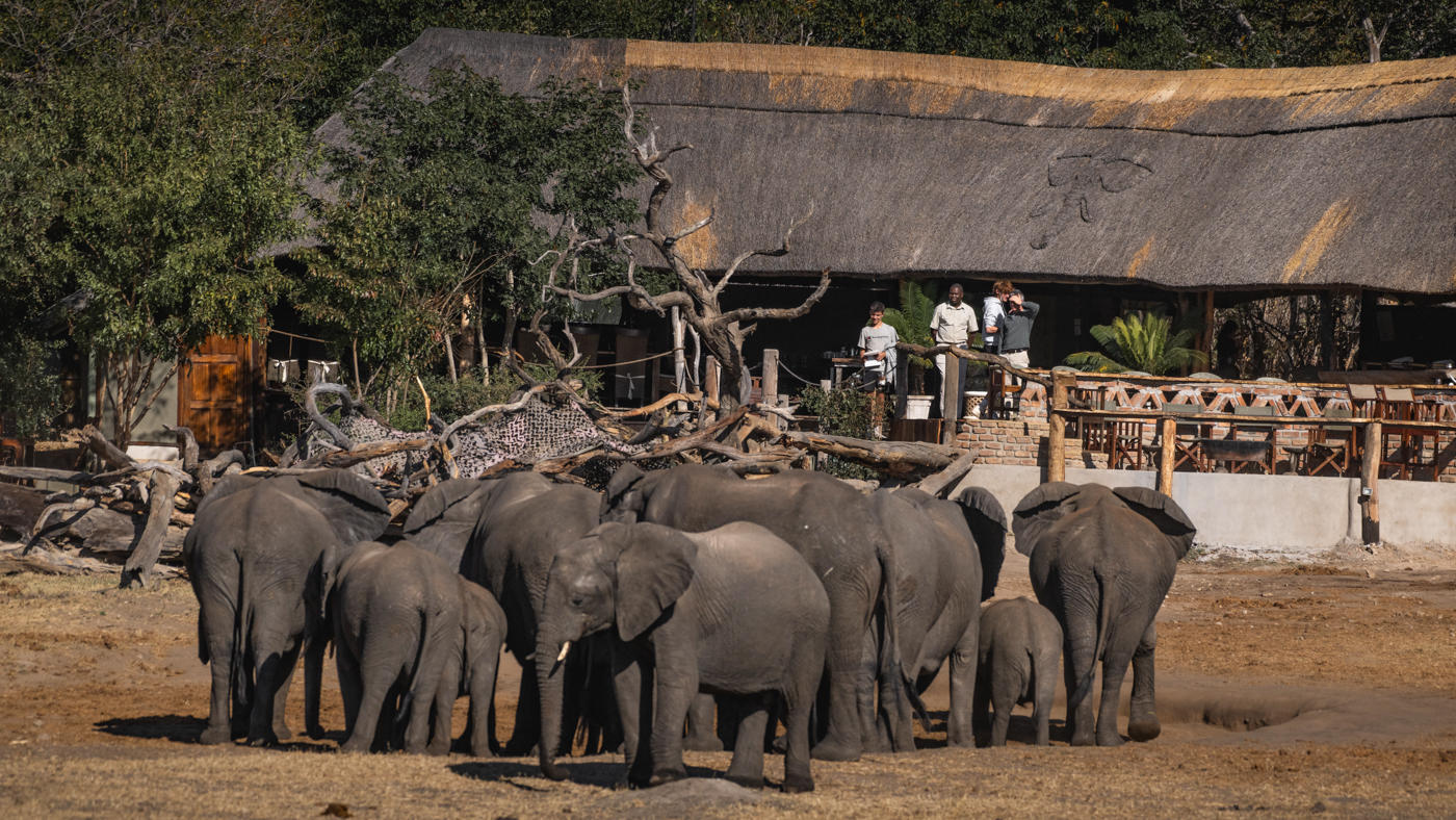 Khulu Bush Camp: Elefanten