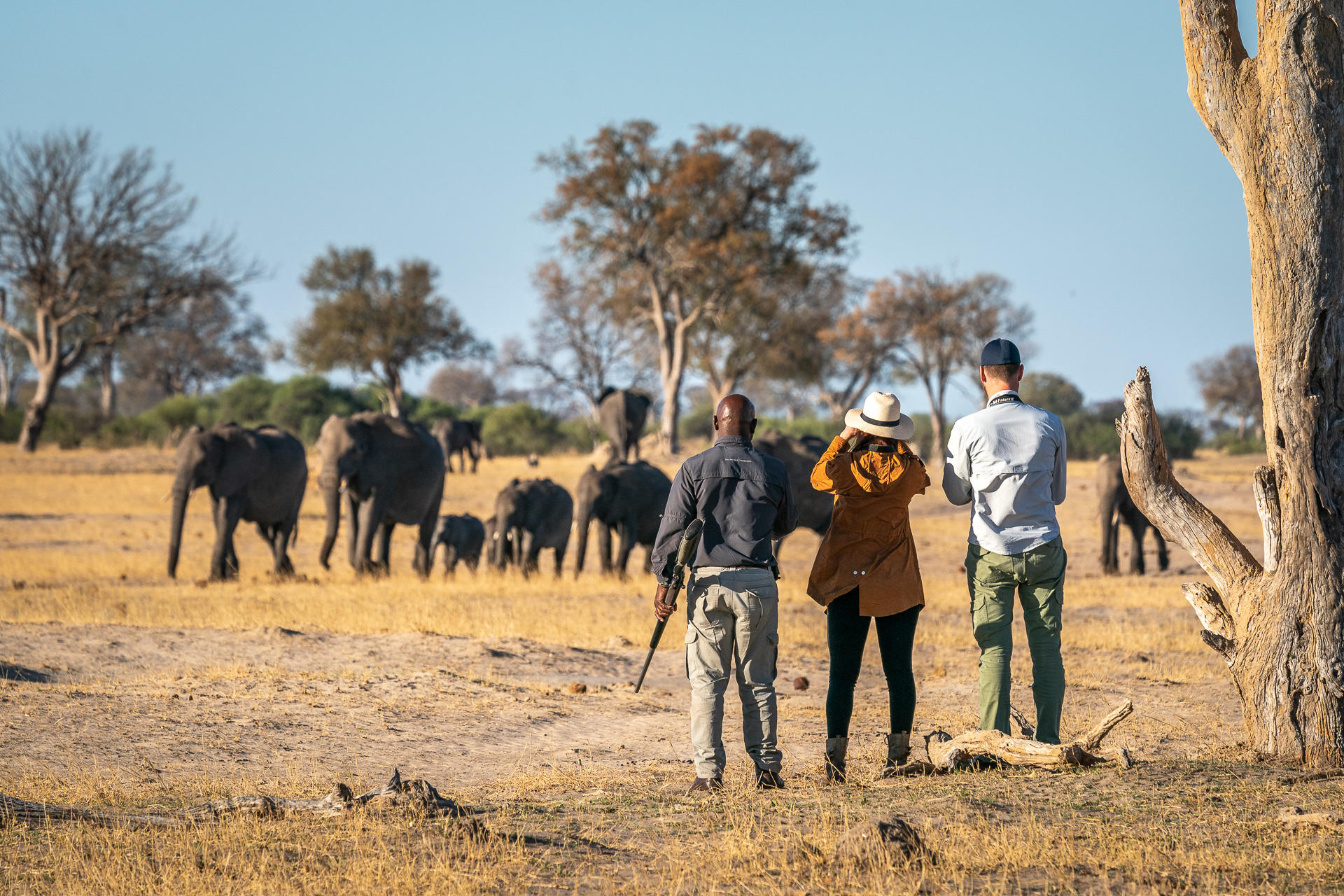 Linkwasha Camp: Walkingsafari