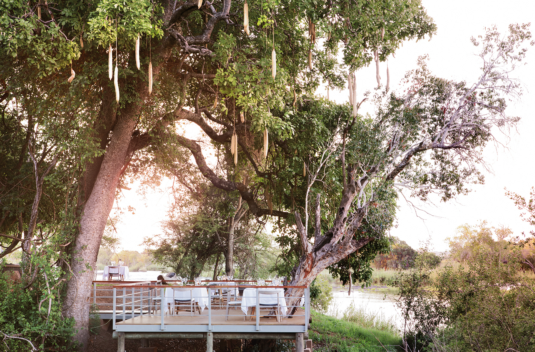 Fluss, Kazungula, Lodge, Matetsi, Matetsi River, Matetsi River Lodge, Simbabwe, Abendessen, Ausblick, Dämmerung, Dinner, Holzdeck, Sambesi, Zambezi, Afrikarma, Afrikarma Safarais, Matetsi Victoria Falls