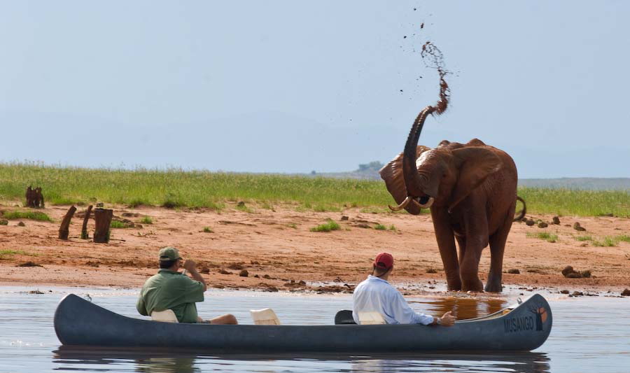 Musango Safari Camp: Kanufahrt Lake Kariba, Musango Lodge, Zimbabwe, Kariba-See, Matusadona National Park, Musango Safari Camp, Steve Edwards, Aktivität, Elefanten, Kanufahrt, Seeufer, Karibasee