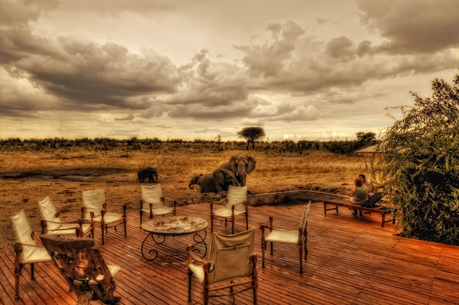 Deck, Elefanten, Hwange National Park, Pool, Somalisa, Somalisa Camp, Wasserloch, African Bush Camps, Beks Ndlovu