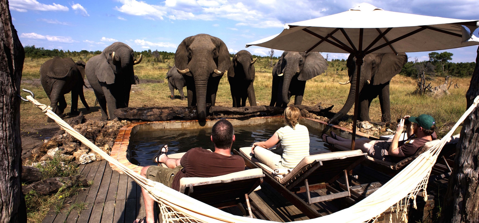 Elefanten, Hwange National Park, Pool, Somalisa, Somalisa Camp, African Bush Camps, Beks Ndlovu