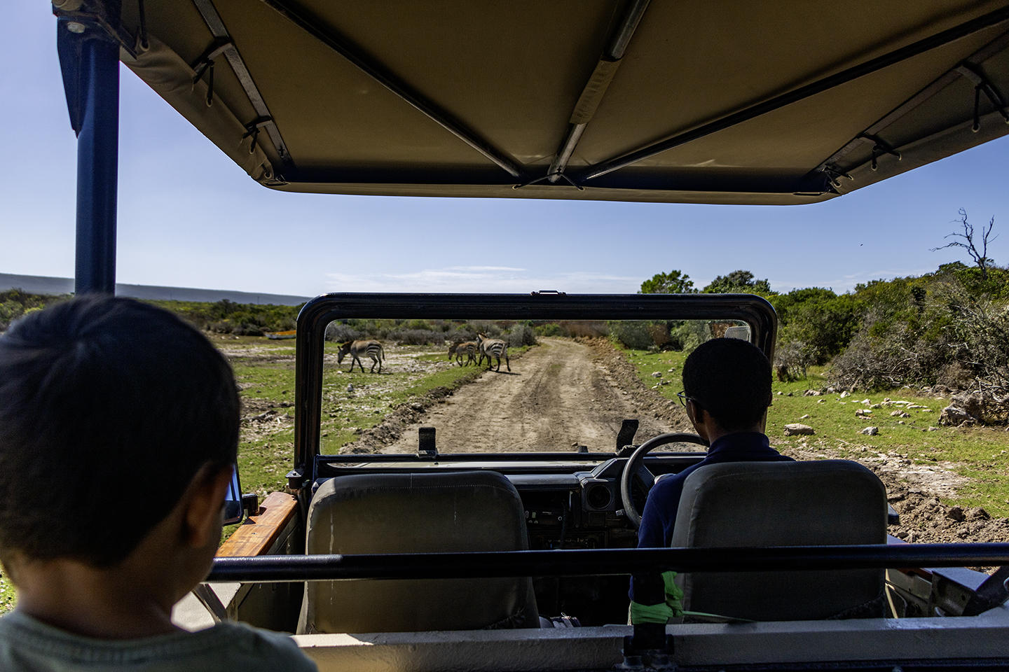De Hoop Collection Lodge: Game Drive