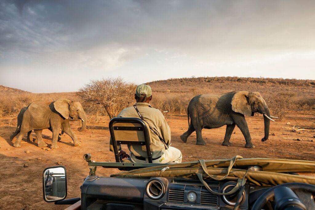 Impodimo Game Lodge: Elefanten