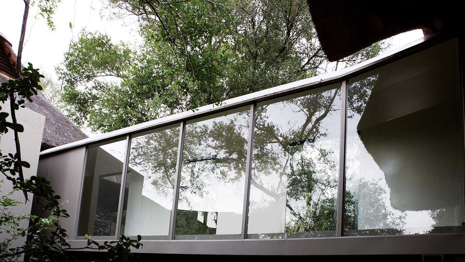 Kruger National Park, Londolozi, Londolozi Founders Camp, Londolozi Game Reserve, Sabi Sand Game Reserve, Sand River, Südafrika, Glasfront, Afrikarma, Afrikarma Safaris, Afrikarma Safaris – Wildnis. Hautnah., afrikarma.de