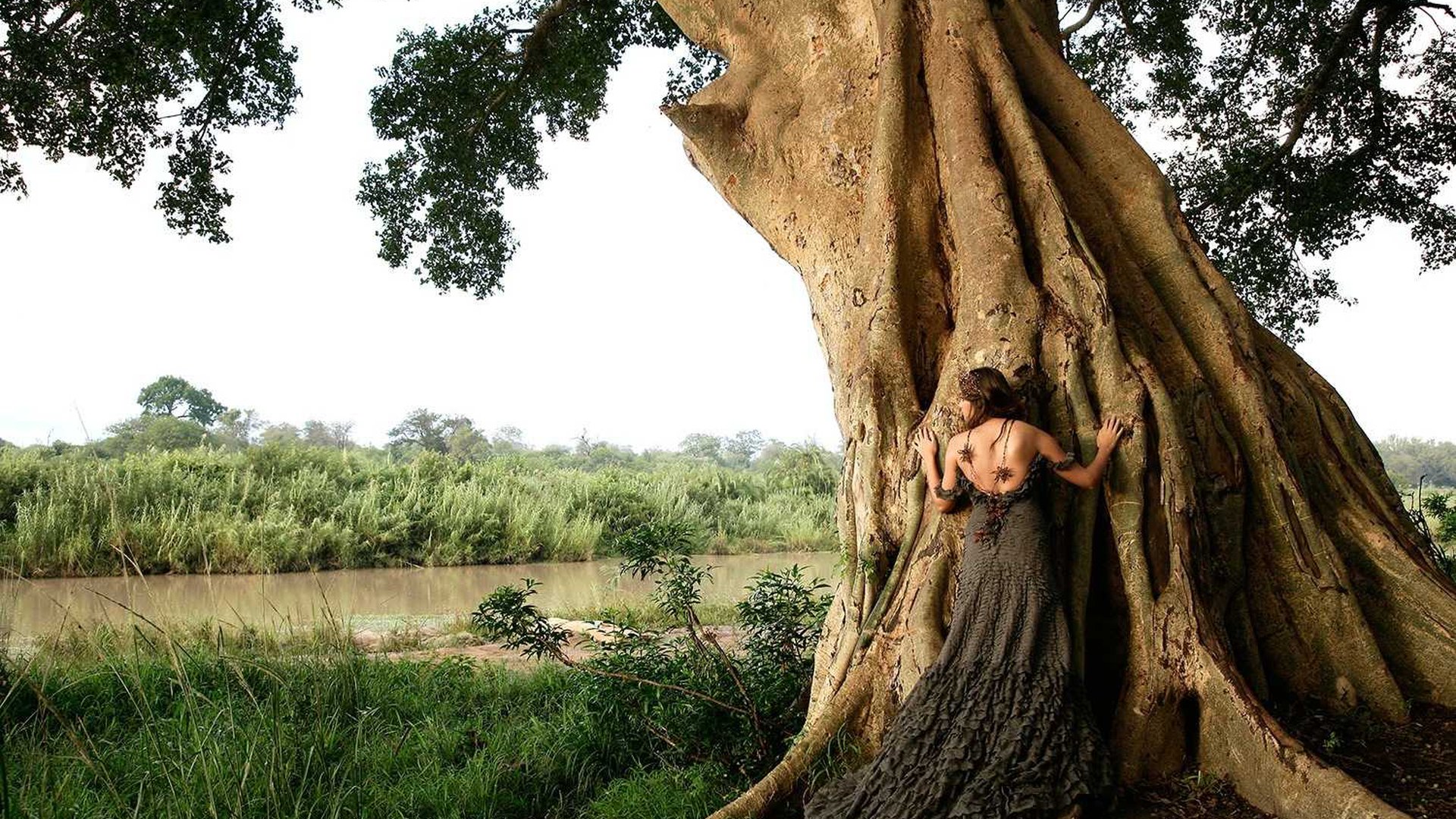 Fotosafari, Krüger Nationalpark, Londolozi, Londolozi Game Reserve, Londolozi Tree Camp, Luxus, Natur, Sabi Sands, Sabi Sands Game Reserve, Sabie, Tree Camp, Baum, Fluss, Grün, Himmel, Afrikarma, Afrikarma Safaris, Afrikarma Safaris - Wildnis. Hautnah., Afrikarma.de