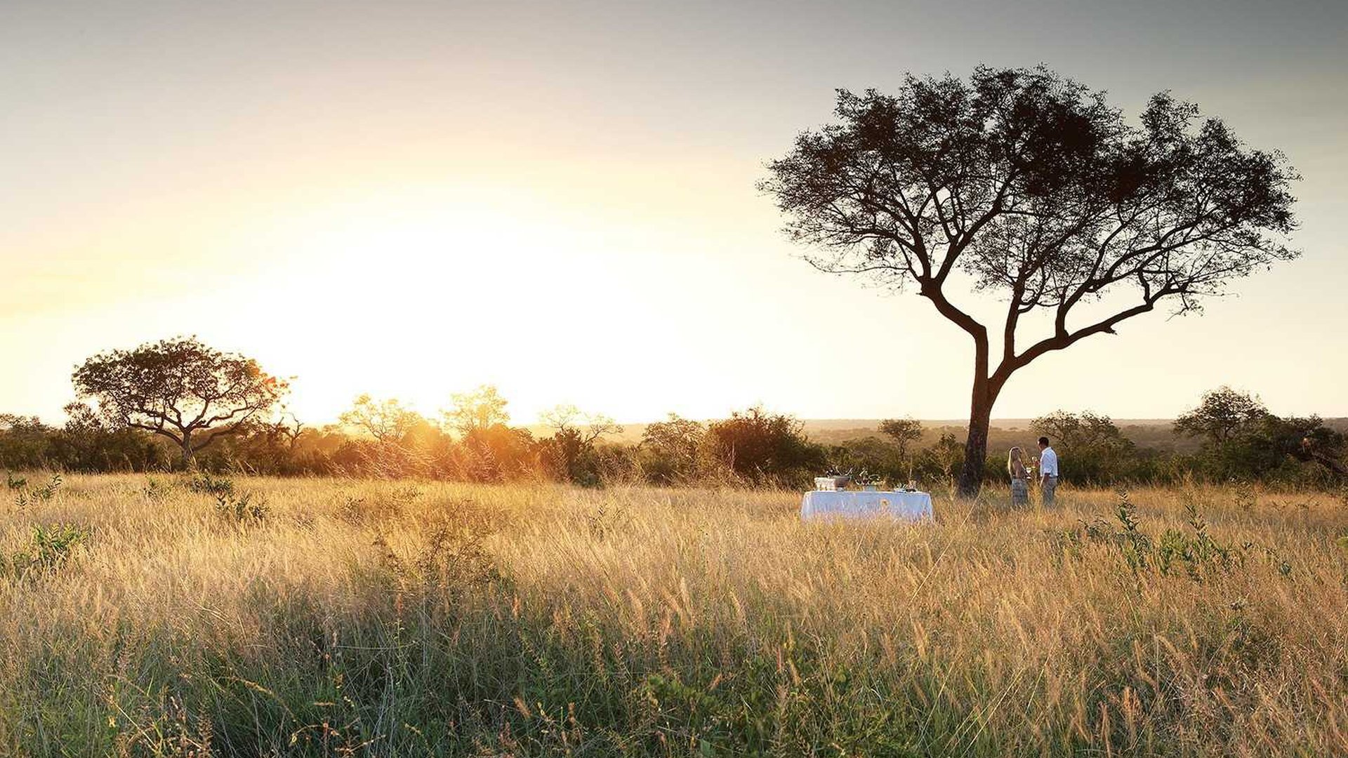 Londolozi Tree Camp: Getränkepause