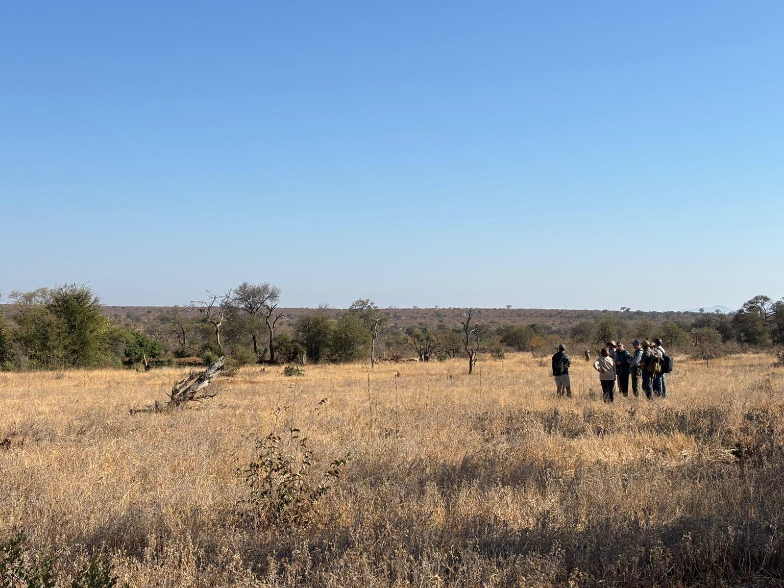 Mohlabetsi Safari Lodge: Auf Wandersafari