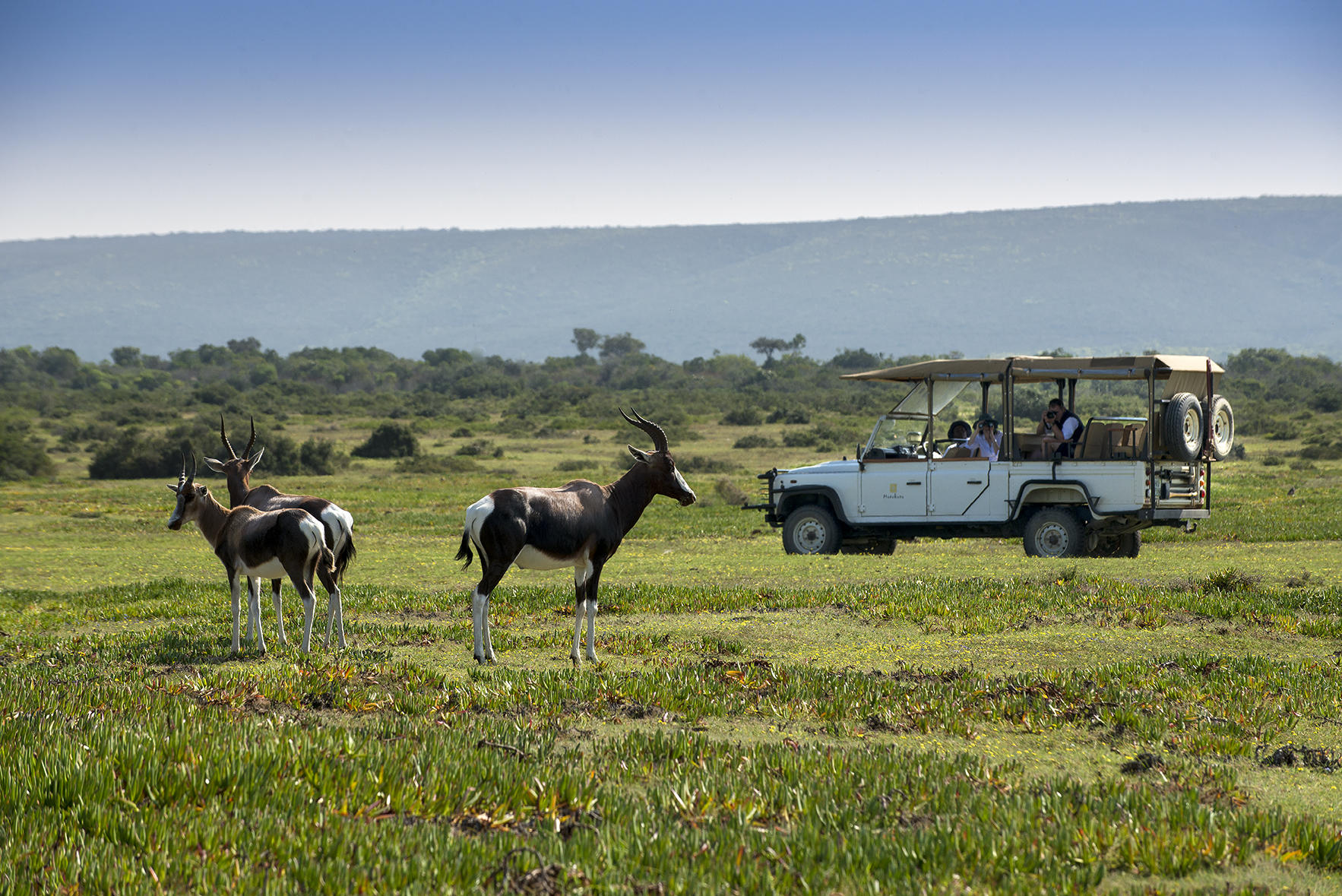 Morukuru Beach Lodge: Eine Jeepsafari