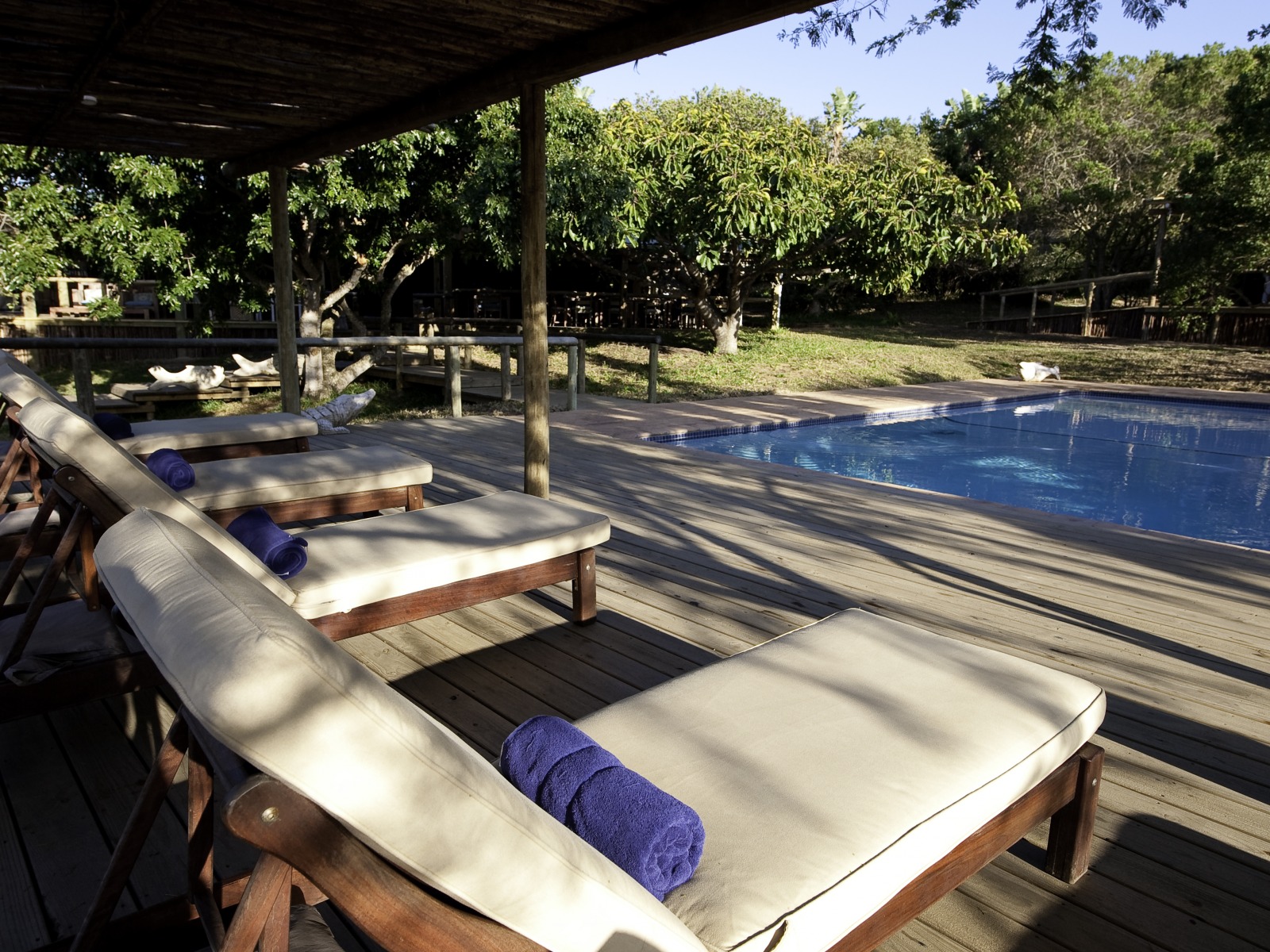 Rocktail Beach Camp, Pool, Swimming Pool, Afrikarma, Afrikarma.de, Wilderness Adventure, Wilderness Safaris