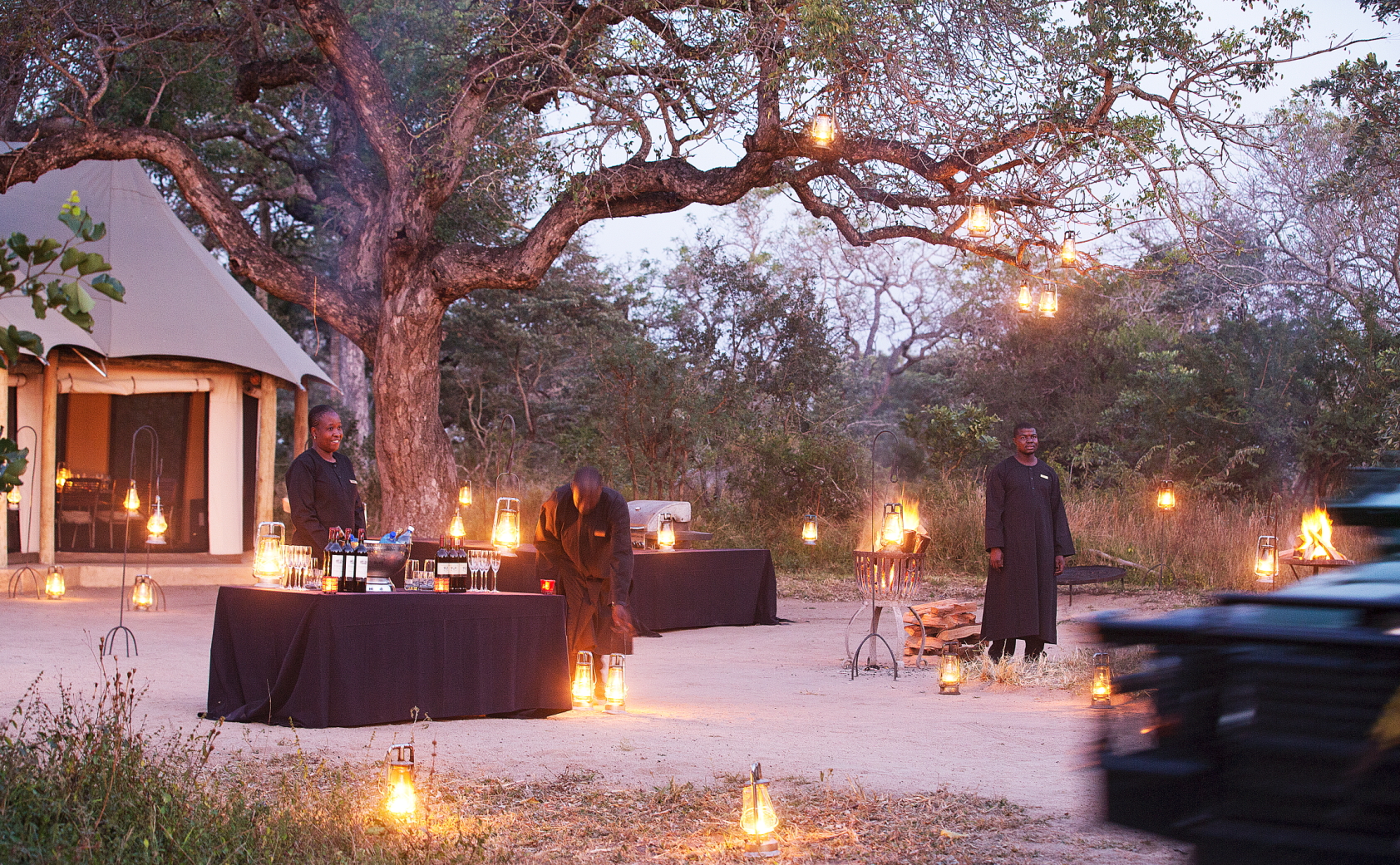 big 5, royal malewane, sabi sands game reserve, südafrika, the royal portfolio, thornybush game reserve, beduinenzelt, afrikarma, afrikarma safaris, afrikarma safaris - wildnis. hautnah., afrikarma.de